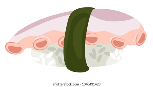 Vector tako nigiri with rice and octopus tentacle, on a transparent background