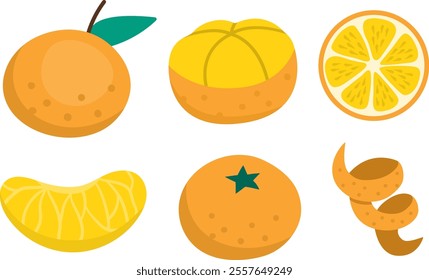 Vector tangerine set. Hand drawn flat citrus fruit collection. Cartoon illustration of orange peel, piece, in slices and cut in two. Fresh food isolated on white background