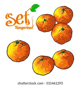 Vector Tangerines set in cartoon style. Isolated on white background. Orange, yellow and green colors.