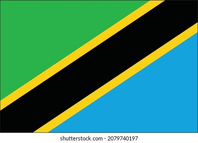 vector tanzania flag with clean background