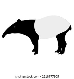 Vector tapir on a white background. Black and white animal design. Great for animal logos and posters about rare animals