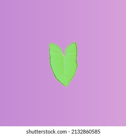 hojas de taro vectorial sobre fondo rosa
