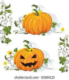 Vector tasty and healthy vegetable pumpkin. Classical natural illustration.