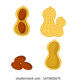 Vector Tasty Peanut Set Isolated on White Background. Nut Seeds.