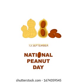 Vector Tasty Peanut Set Isolated on White Background. Nut Seeds.