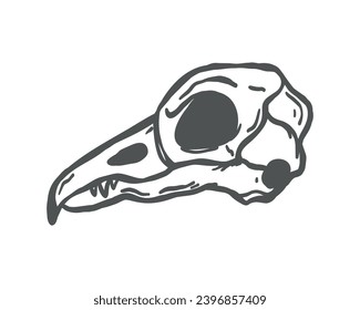 Vector Tattoo Design Raven Bird Skull. Black and White Outline Drawing.