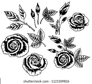 vector tattoo roses with leaves on white background. Symbol of passion love. Old School style. Black amd white tattoo. Rose set sketch.