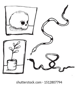  vector tattoo set: plant, skull and snakes. modern style. tattoo, simple sketch