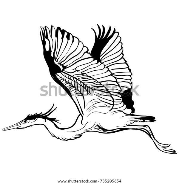 Vector Tattoo Sketch Flying Stork Illustration Stock Vector