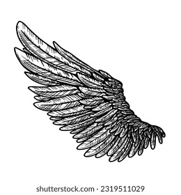 Vector tattoo style eagle wing illustration
