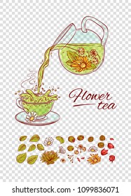 Vector tea constructor flowers brew process  Make   pour in transparent cup hot aromatic drink and blossoming tea leaves  Sketch set collection hand drawn illustration 