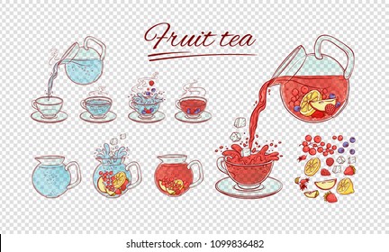 Vector tea constructor fruits brew process. Make and pour in transparent cup hot or cold aromatic drink with different berries. Sketch set collection hand drawn illustration.