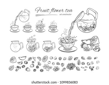 Vector tea constructor herbs   fruits brew procedure  Sequence make hot cold aromatic drink and blossoming tea  berries   leaves  Sketch set collection black white hand drawn illustration