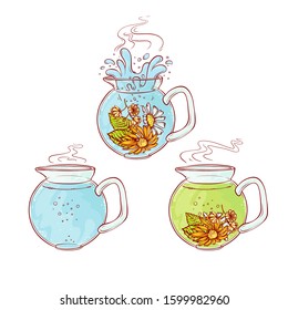 Vector tea herb flowers brew process  Make   pour in transparent teapot hot aromatic drink and blossoming tea leaves  Sketch hand drawn line illustration 
