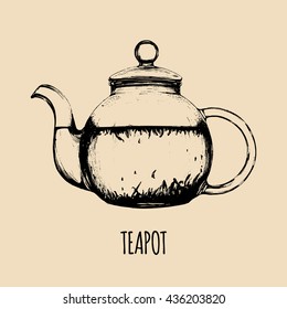 Vector teapot illustration. Hand drawn transparent glass kettle sketch for cafe, restaurant drink menu.