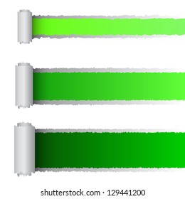 Vector tear paper in green color, eps10 illustration