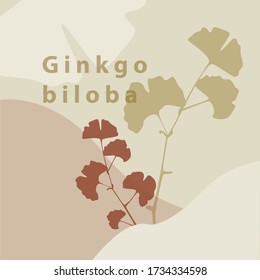 Vector temlate with ginkgo biloba leaves.