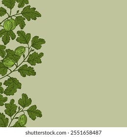 Vector template background with Gooseberry for text. Hand drawn engraved border with berries harvest, branches and fruits of sweet gooseberries for label, logo, paper, design, sign. Food illustration