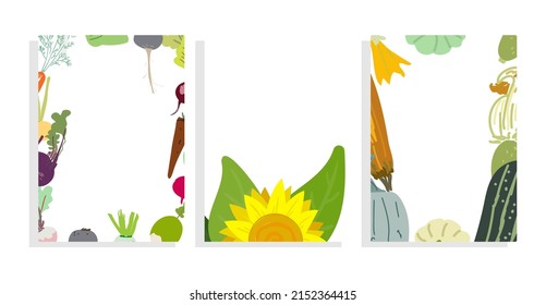 vector template background set with flat root vegetable, sunflower, zucchini  