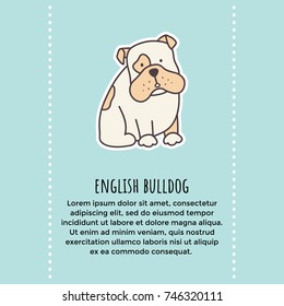 vector template of a banner with cute image of english bulldog and text place