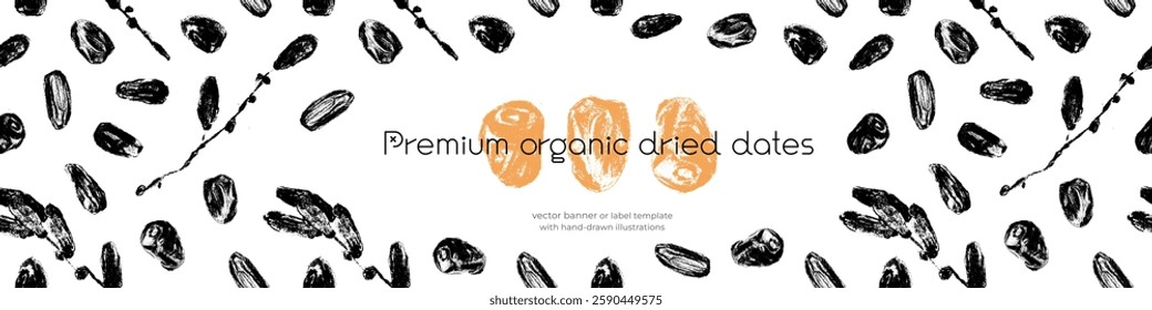 Vector template banner design. Premium organic dried dates. Dried dates background. Hand drawn charcoal date drawings. Label cosmetics, packaging for natural syrup design.