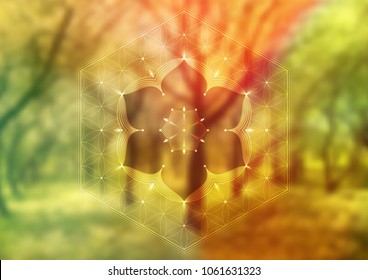 Vector template of banner, horizontal format; Spiritual sacred geometry; "Flower of life" and lotus on psychedelic natural forest photographic background; Yoga, meditation and relax.