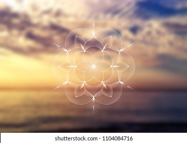 Vector template of banner, horizontal format; Spiritual sacred geometry; "Flower of life" and lotus on psychedelic natural forest photographic background; Yoga, meditation and relax.