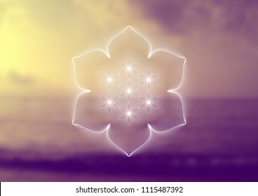 Vector template of banner, horizontal format; Spiritual sacred geometry; "Flower of life" and lotus on psychedelic natural photographic background; Yoga, meditation and relax.