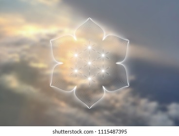 Vector template of banner, horizontal format; Spiritual sacred geometry; "Flower of life" and lotus on psychedelic natural photographic background; Yoga, meditation and relax.