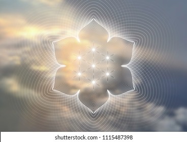 Vector template of banner, horizontal format; Spiritual sacred geometry; "Flower of life" and lotus on psychedelic natural photographic background; Yoga, meditation and relax.