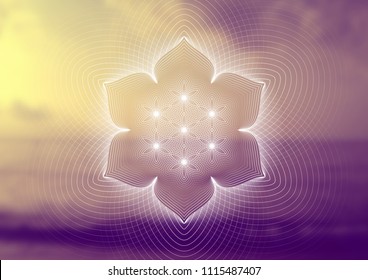 Vector template of banner, horizontal format; Spiritual sacred geometry; "Flower of life" and lotus on psychedelic natural photographic background; Yoga, meditation and relax.