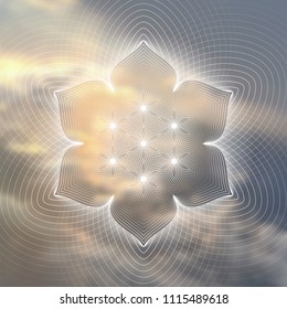 Vector template of banner; Spiritual sacred geometry; "Flower of life" and lotus on psychedelic natural photographic background; Yoga, meditation and relax.