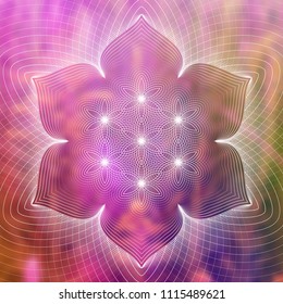 Vector template of banner; Spiritual sacred geometry; "Flower of life" and lotus on psychedelic natural photographic background; Yoga, meditation and relax.