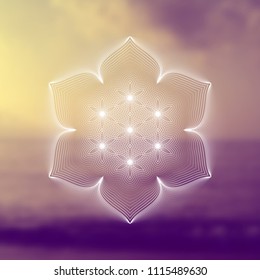 Vector template of banner; Spiritual sacred geometry; "Flower of life" and lotus on psychedelic natural photographic background; Yoga, meditation and relax.