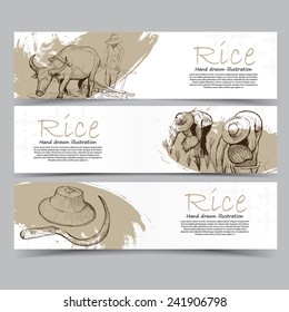 Vector template banners. Hand drawn illustrations of Rice. abstract background