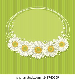 Vector template of birthday card with daisies, eps10.  