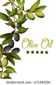Vector template with black and green olives on white background. 