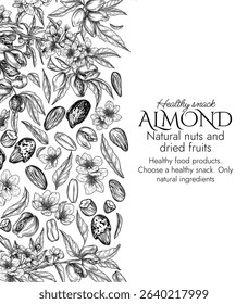 Vector template with a branch of blooming almonds in engraving style. Graphic banner with nuts on a tree. Frame with the cultivation of a healthy snack. Nuts in shell and in cut form, almond flakes