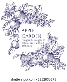 Vector template branch with fruits, leaves and blossoms of an apple tree in engraving style