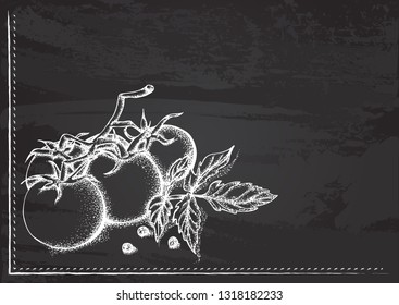 Vector template with a branch of tomatoes stylized as chalk drawing on chalkboard.Design for a restaurant, cafe or bar