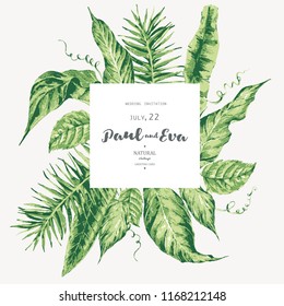 Vector template card of green tropical leaves, botanical natural vintage illustration