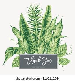 Vector template card of green tropical leaves, botanical natural vintage illustration