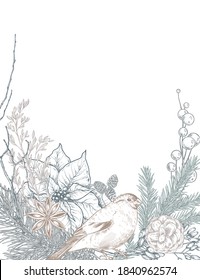 Vector template for Christmas greeting card or invitation with hand drawn winter plants, pine cones, bird. Vector illustration in pastel colors.
