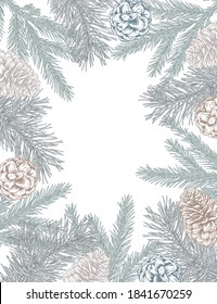 Plantilla vectorial para tarjeta de felicitación navideña o invitación con plantas de invierno, ramas de abeto, conos de pino dibujados a mano. Bonito marco de vacaciones.