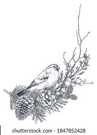 Plantilla vectorial para la tarjeta de felicitación de Navidad o invitación con plantas de invierno dibujadas a mano, conos de pino, pájaro. Ilustración vectorial en blanco y negro.
