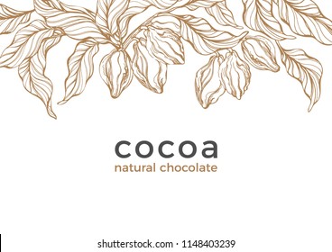 Vector template. Cocoa tree, bean, berry, grain, fruit. Natural chocolate banner Sweet food, aroma bio drink Design art line, nature shape Sketch doodle illustration Vintage hand drawn graphic element