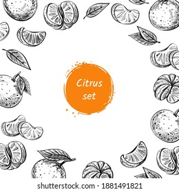 Vector template with collection of citrus exotic summer fruits - tangerine, orange with leaves and branches. Illustration in sketch style with place for text. For decorating recipes, menu or printing