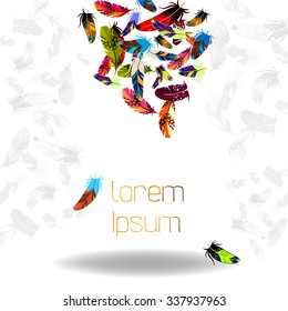 Vector template with colored feathers on the white background. The feathers located on top side of template. On both sides are seen the shadow of feathers.