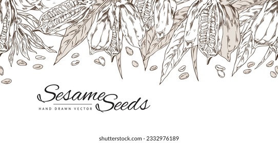 Diseño de plantillas vectoriales con esbozo de contorno de planta semilla de sésamo con hojas, cápsulas de vástago, semillas y flores. Grabación de ilustraciones dibujadas a mano en blanco en colores marrones con letras