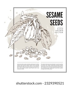 Vector template design with outline sketch drawing sesame plant with leaves, capsules, seeds and flowers. Engraving hand drawn label illustration with lettering and watercolor stain, brown colors